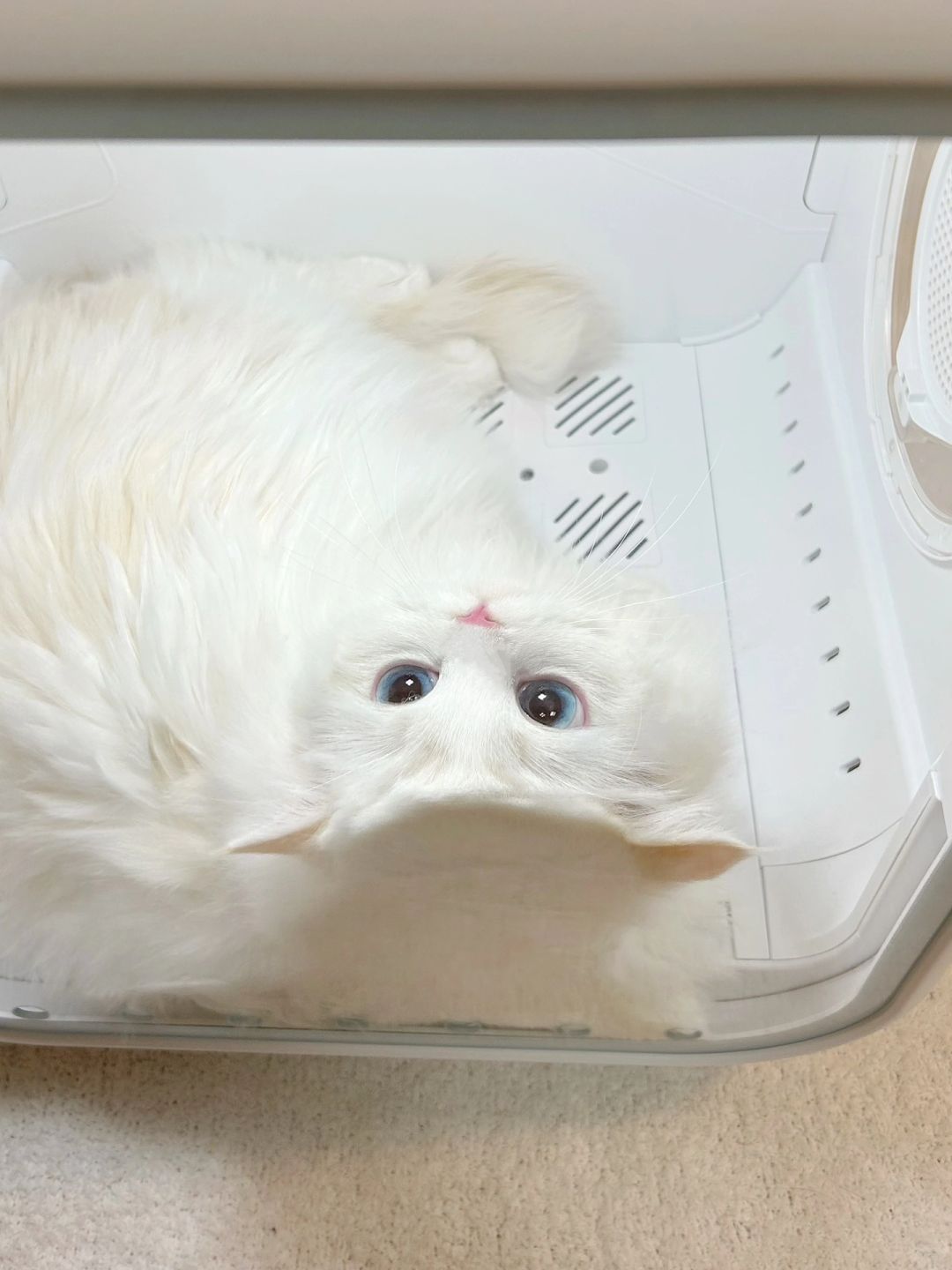 倒过来真的好心动💓
