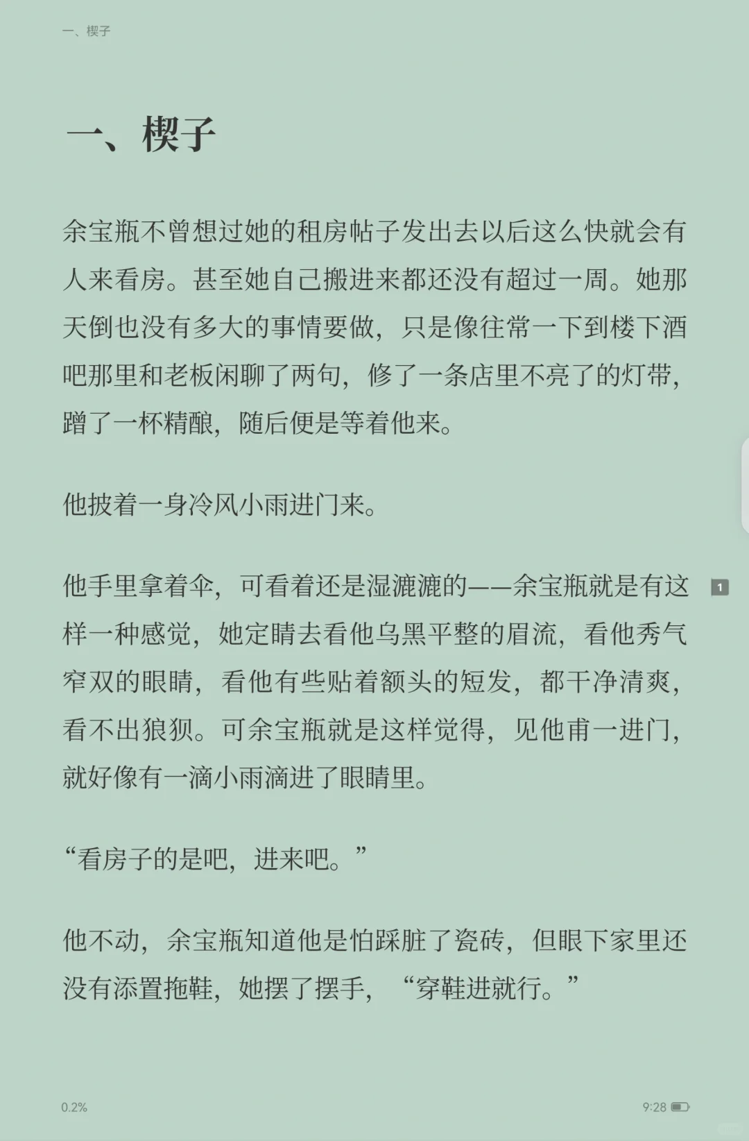 我的28岁男房客（文艺版）