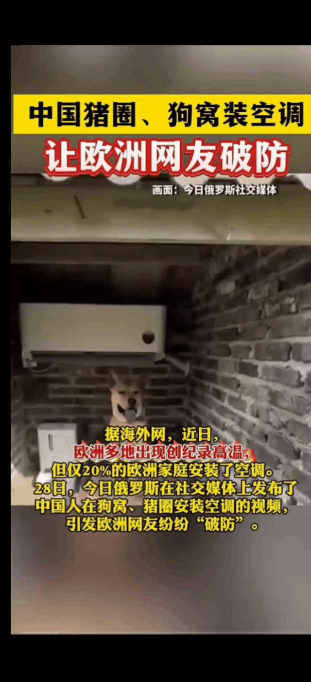 笑不活了！欧洲40℃热浪硬扛，中国猪猪早已住进空调房！
一边是欧洲多国遭遇极端高