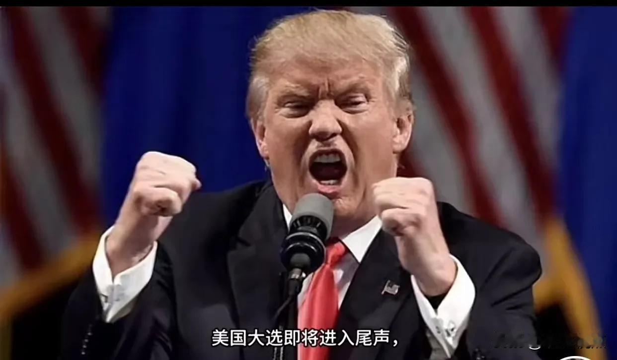 特朗普，美国再次伟大？
从特朗普再次当选美国总统一系列动作来看。给人耳目一新的感