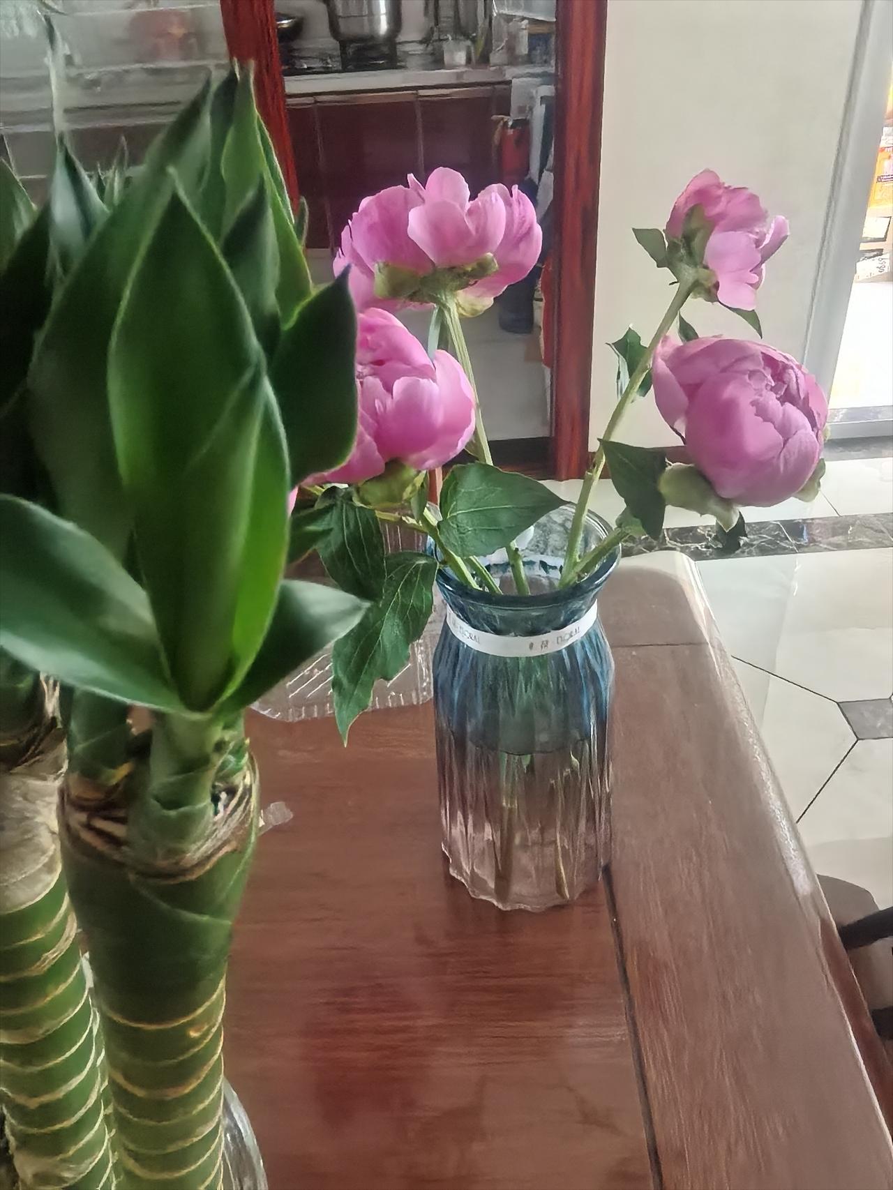 分享一张你相册的拍的花