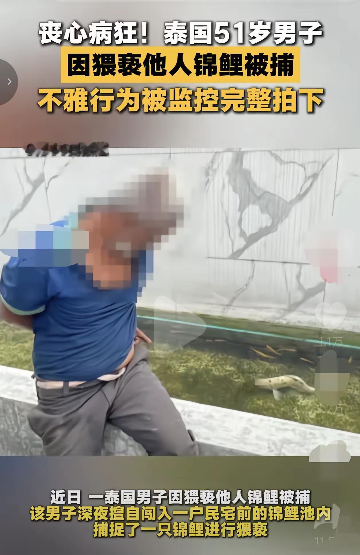 51岁男子偷偷猥亵了邻居家的一条锦鲤，院子里的监控完完整整的录了下来，这锦鲤这一