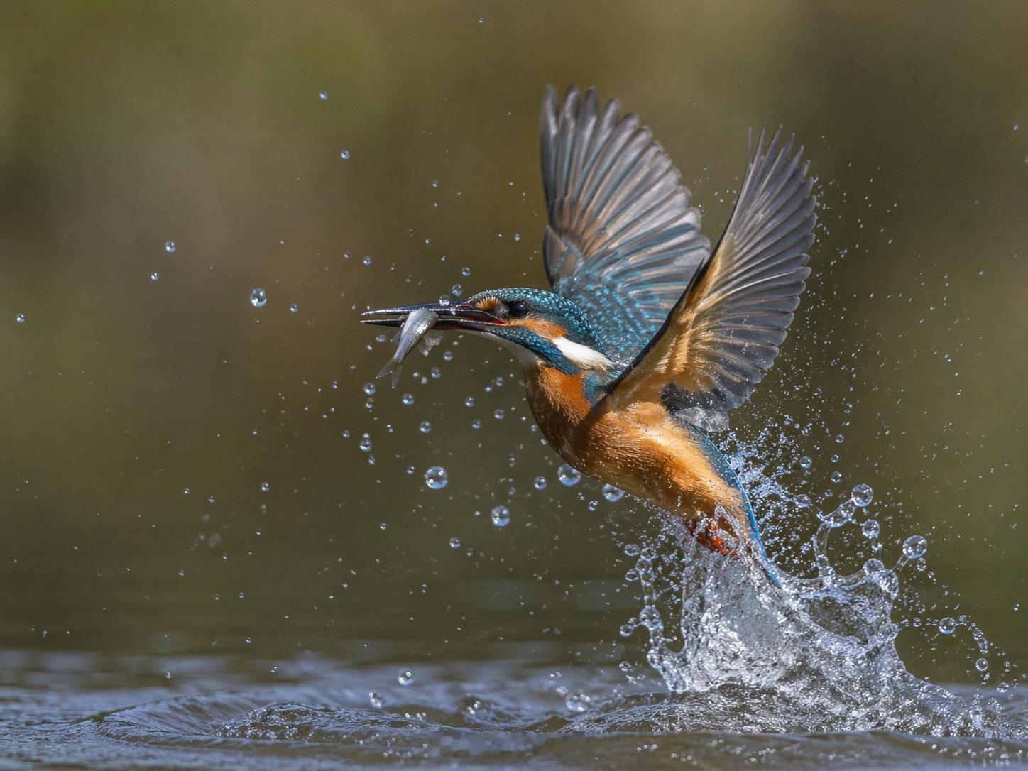 猜一猜什么设备拍的