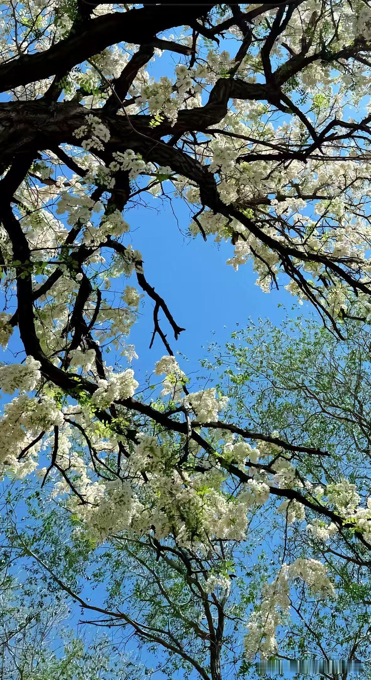 刚刚电梯上的一幕，让我明白每个熊孩子的养成，都是来自家人的纵容。

一个4岁左右