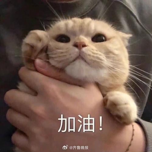 #早安# 生活不要求我们成为最好，只要求我们做最大的努力。 