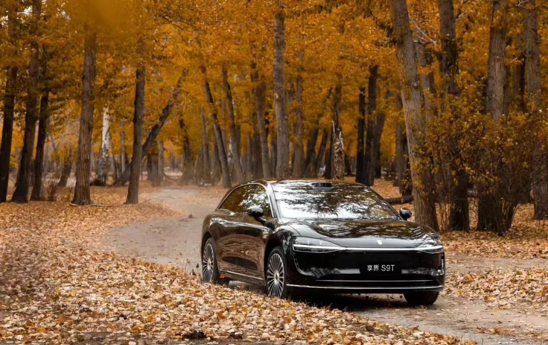 当北疆把秋酿成了最美的诗，与最懂旅行的 尊界S9T 一起，不必追赶行程，看落叶铺