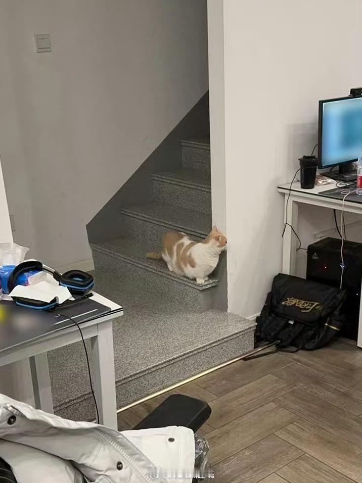 @RNG-起飞 更新木木照片，好久不见[哇]

#英雄联盟##2024LPL##