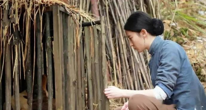 刘亦菲的气质与农村妇女形象有别，喂鸡场景也需贴合实际，无需过度追着喂。 