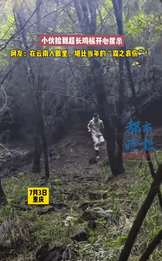 天降横财！重庆一位小伙上山溜达一圈，竟然捡到了一根快有他小臂长的“巨无霸”鸡枞！
