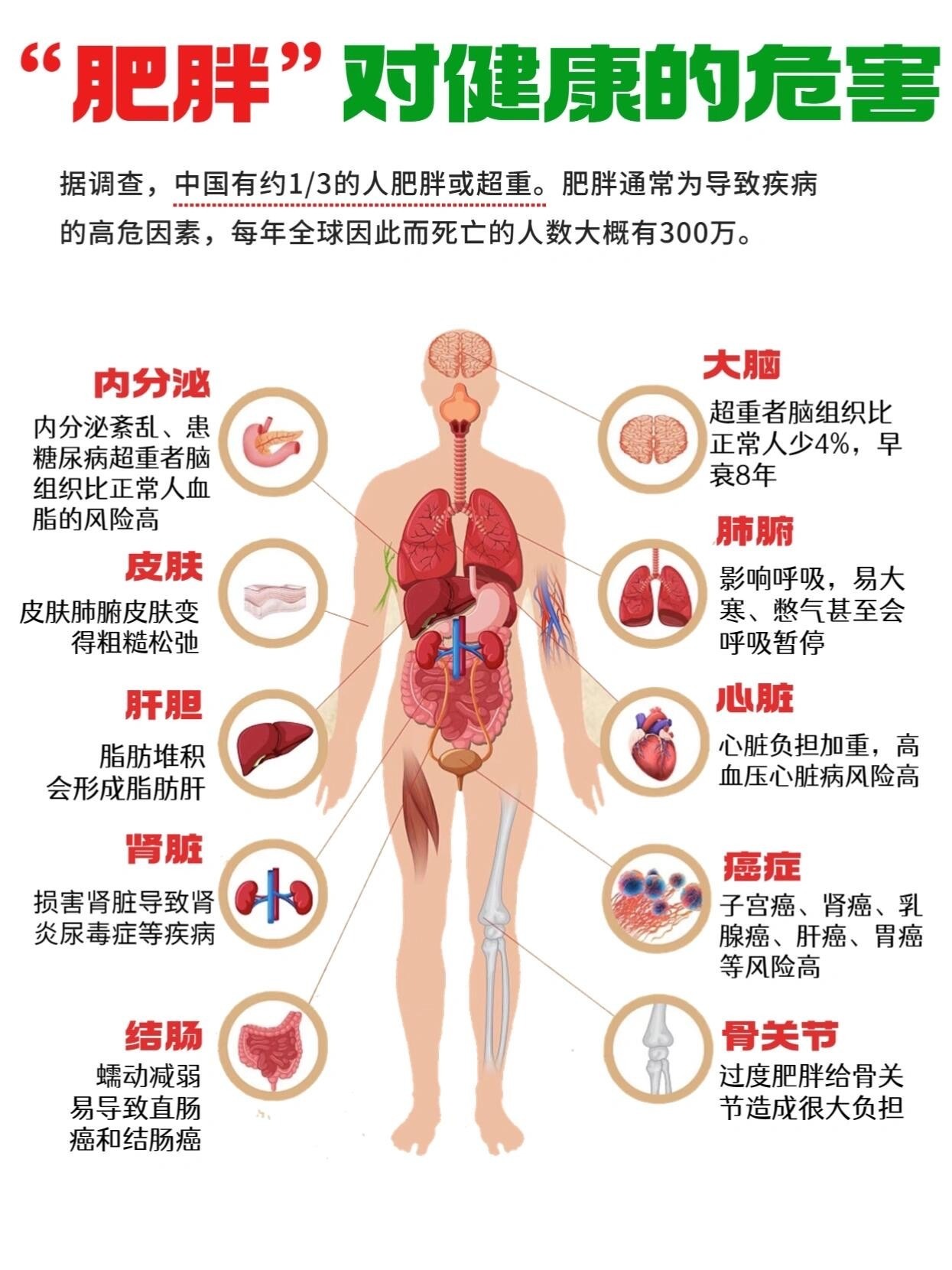 1.年龄越大，脂质周转率越低脂质周转率，是脂质在脂肪细胞中，消耗和储存的速率，脂