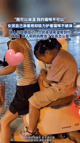 大雨里，小女孩把温柔全留给小猫
 
雨夜街头突降大雨，妈妈骑着电动车带着小女孩赶