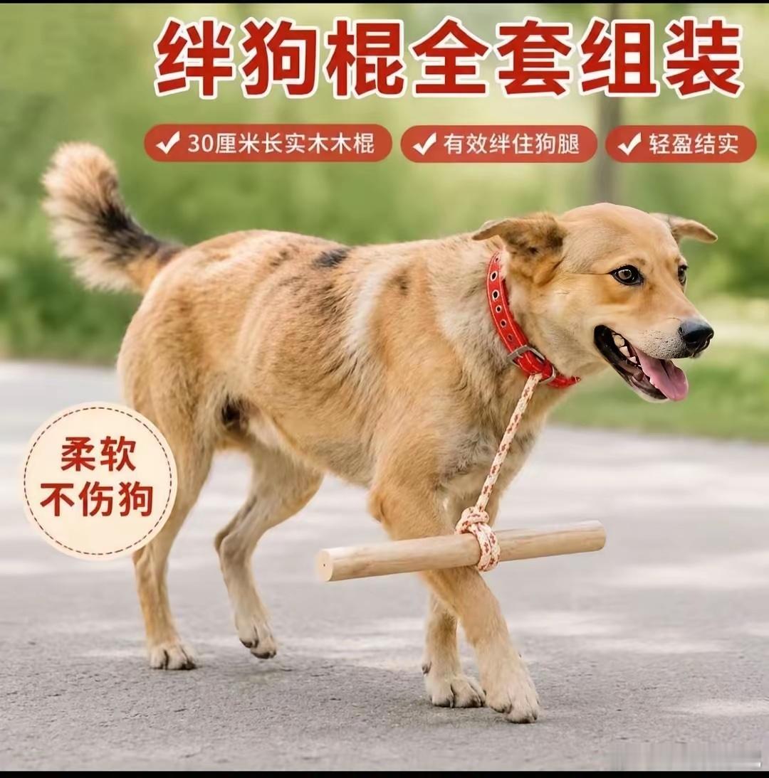 看得出来，这执行力，全网的狗子都学起来了，放下跑不快，咬起来就不能咬人，哈哈哈，