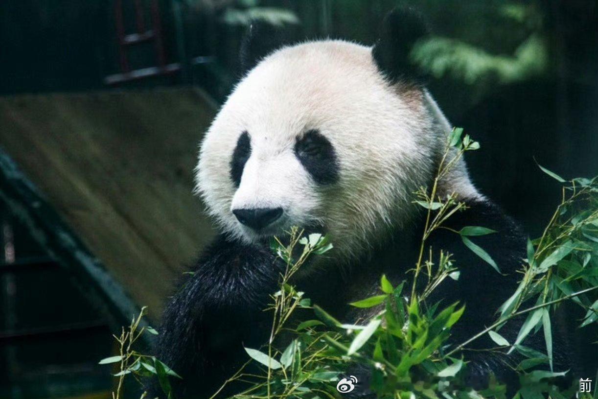 做一个积极向上的人，看温柔的句子，见阳光的人，眼里全是温柔和笑意。早安☀ 