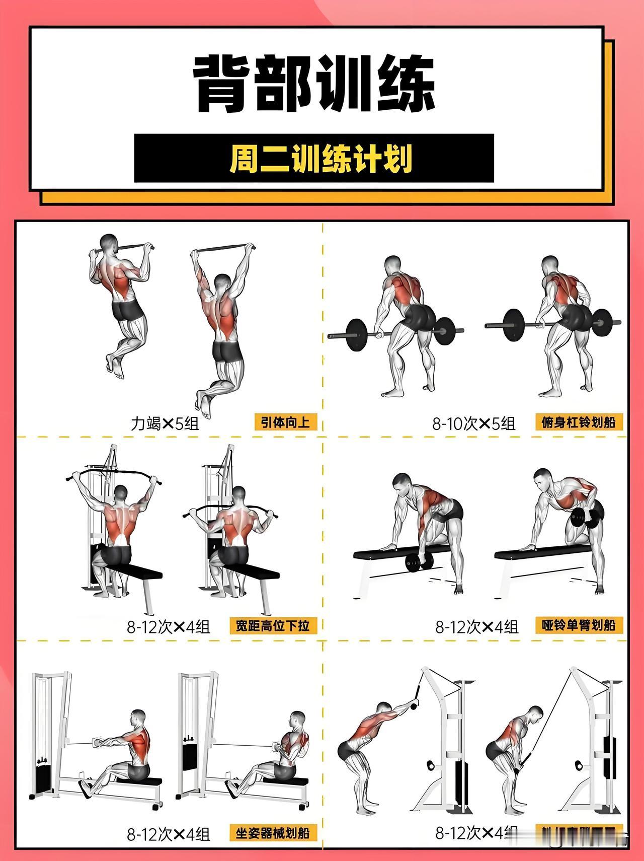 听说练背能治脸垮
这是从体态方面说的吧
比如可以改善含胸驼背、肩内扣
进而改善双