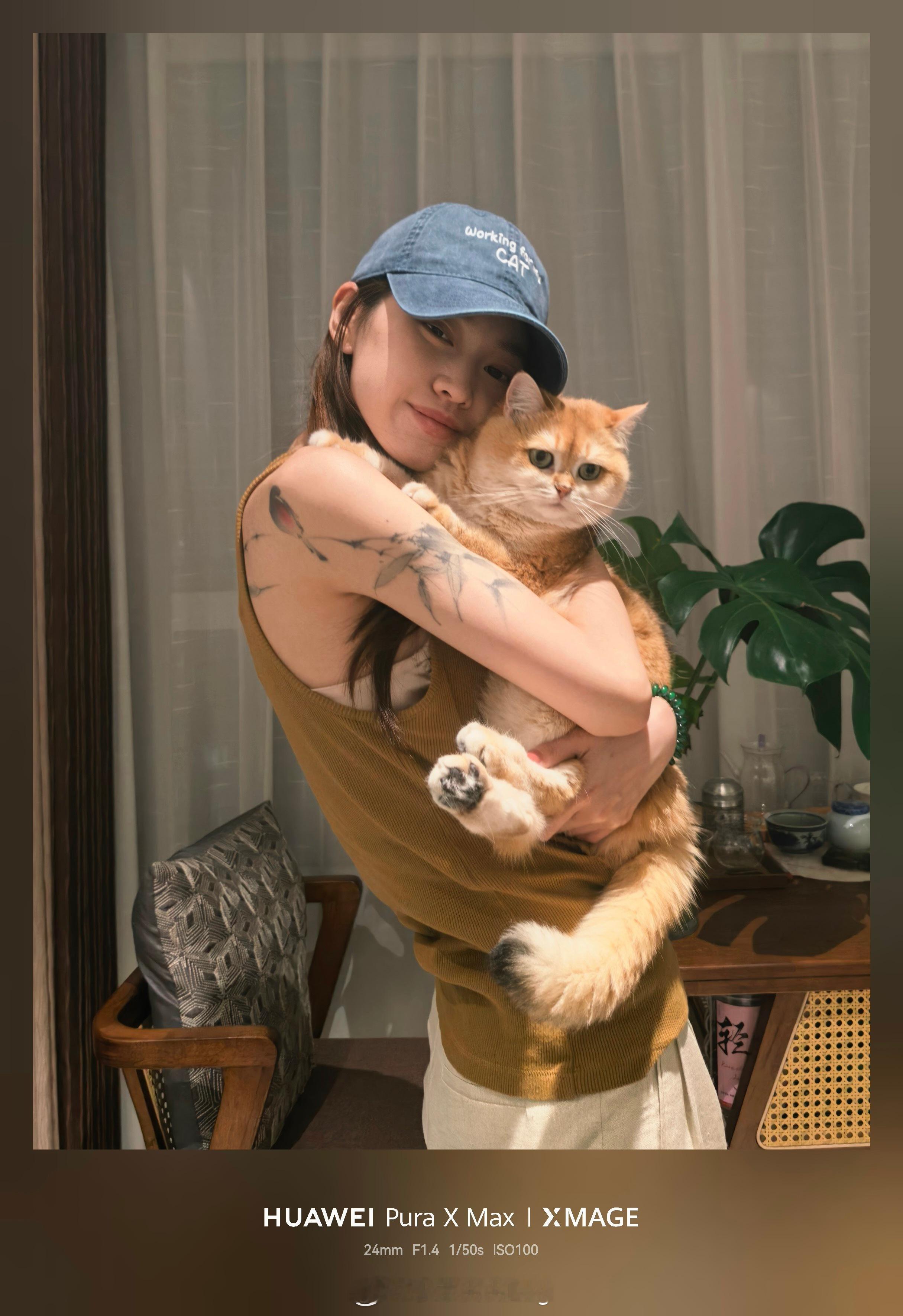 生活现状如帽所示working for my cat🐱