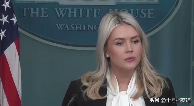 莱维特公开对伊朗做出回应！伊朗又一次对美国做出了的污蔑，美国不会像伊朗一般对平民