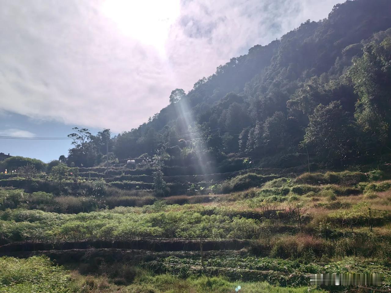 随手拍几张乡村风景冬天的农村景色