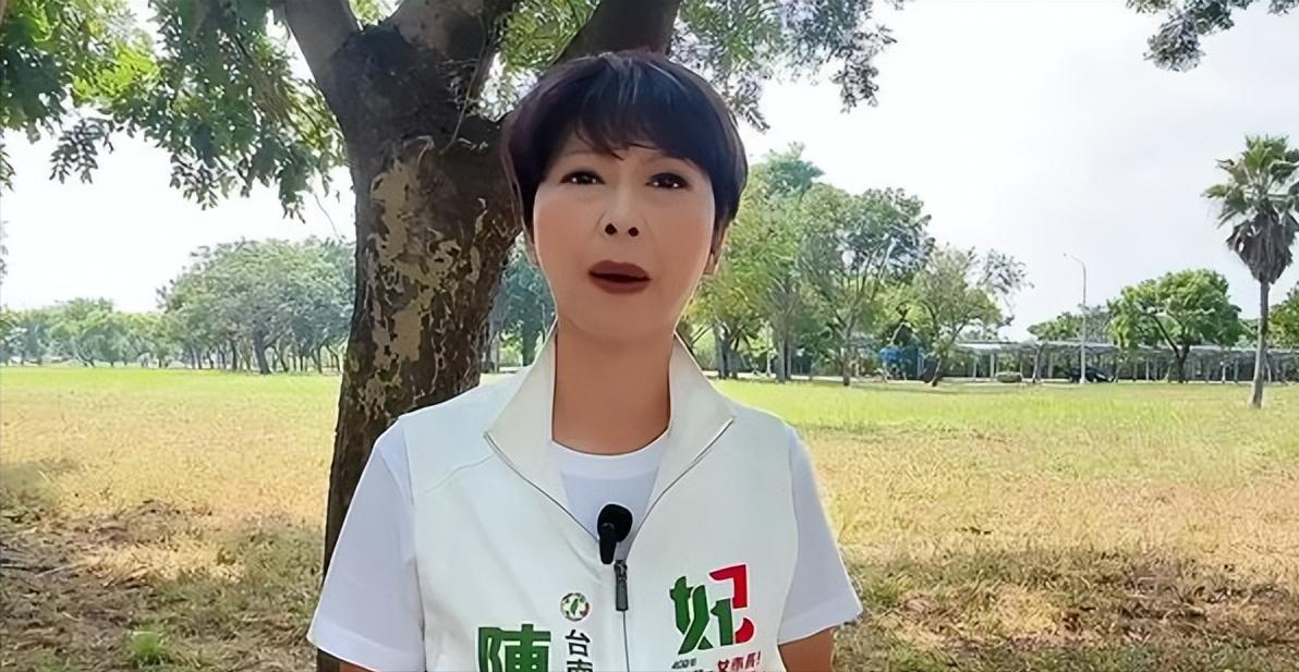 民调狂胜谢龙介！陈亭妃拼台南首位女市长，蓝营质疑公信力
深绿机构“新台湾国策智库