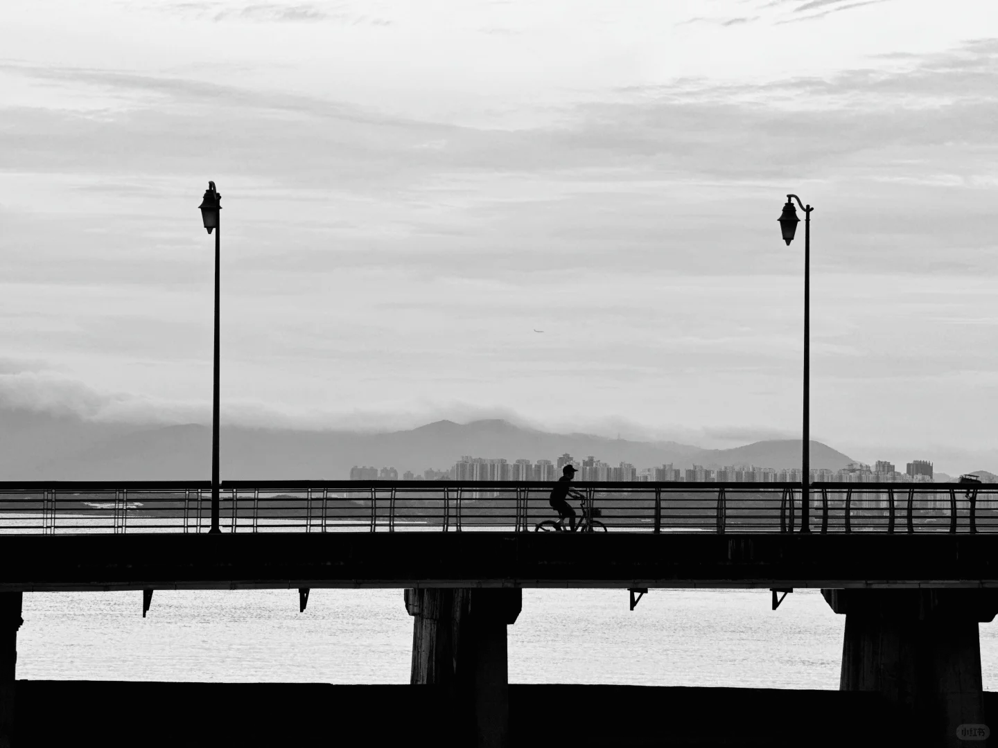 🎥 黑白城市 | 孤独的共鸣 🎥