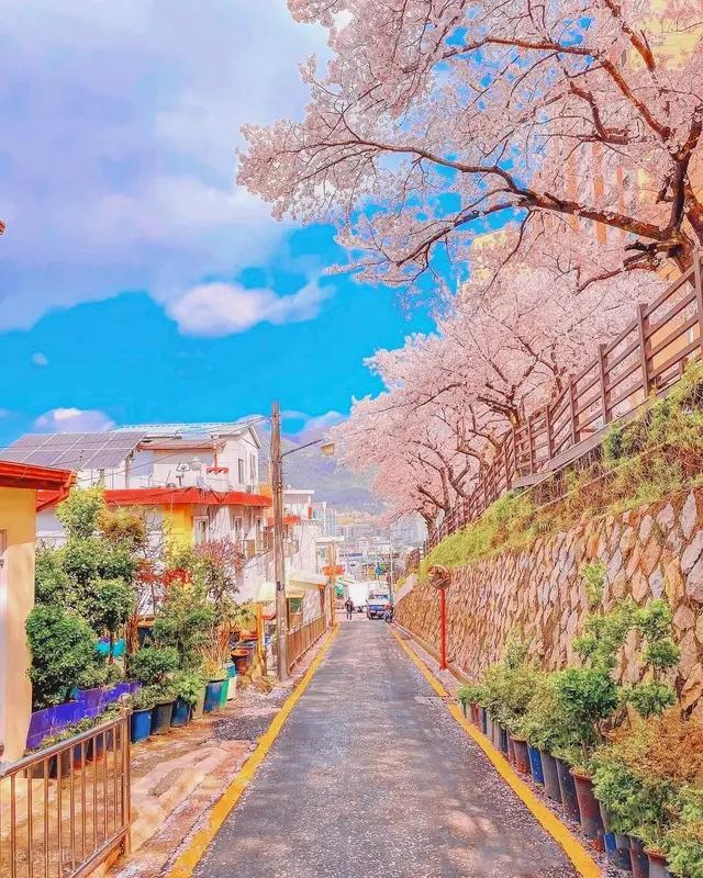 本以为你会如飞蛾扑火般奔向我，可在你决定转身离开的瞬间，我明白，在你心里，没我你