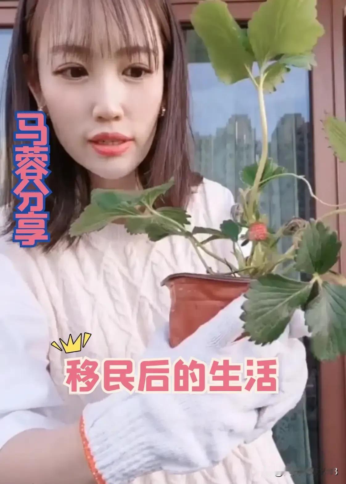 有网友扒出马蓉在澳大利亚的一个账号。看样子，马蓉现在日子过的不错，还和女儿在一起