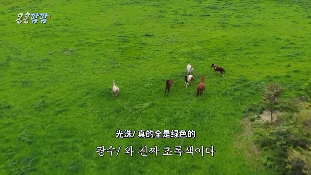 千呼万唤的第三季“种豆得豆”我记得去年李光洙金宇彬，都暻秀他们去了墨西哥，这一次