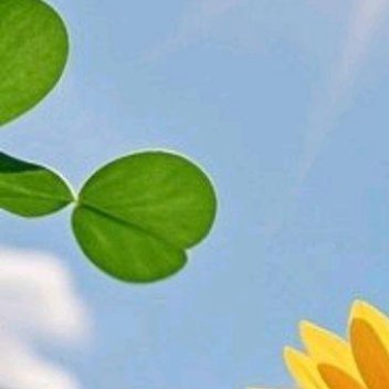 正能量正能量 人这一生，如果总是在跟自己拔河，跟自己较劲，跟自己过不去，最终只会