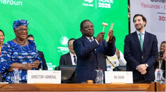 大动作，憋了老长时间的世贸组织，这次是真的发力了，非洲开会4天终于有了实质性突破