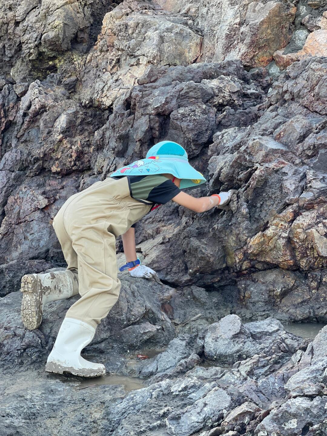 周边免费赶海‼️十一假期不堵车没有人没人‼️