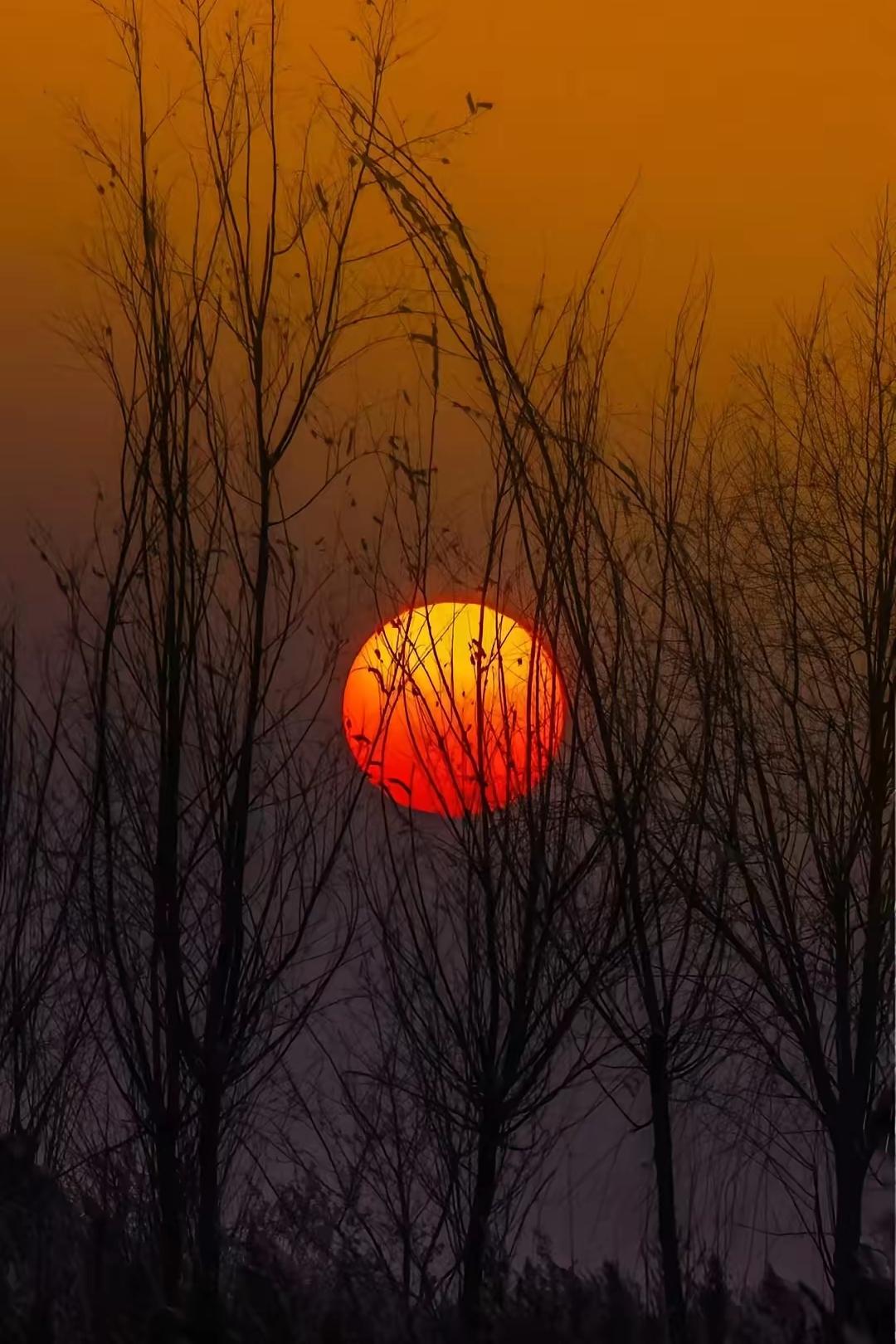 成年人一定要远离那些性格自私的人，
无论ta是你的亲戚还是好友，
这种人你帮ta