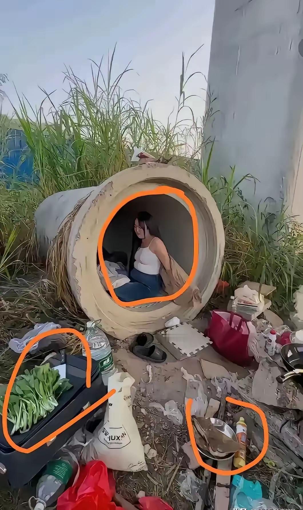 高实在是太高了，既能省了房租，连卫生也不用搞 