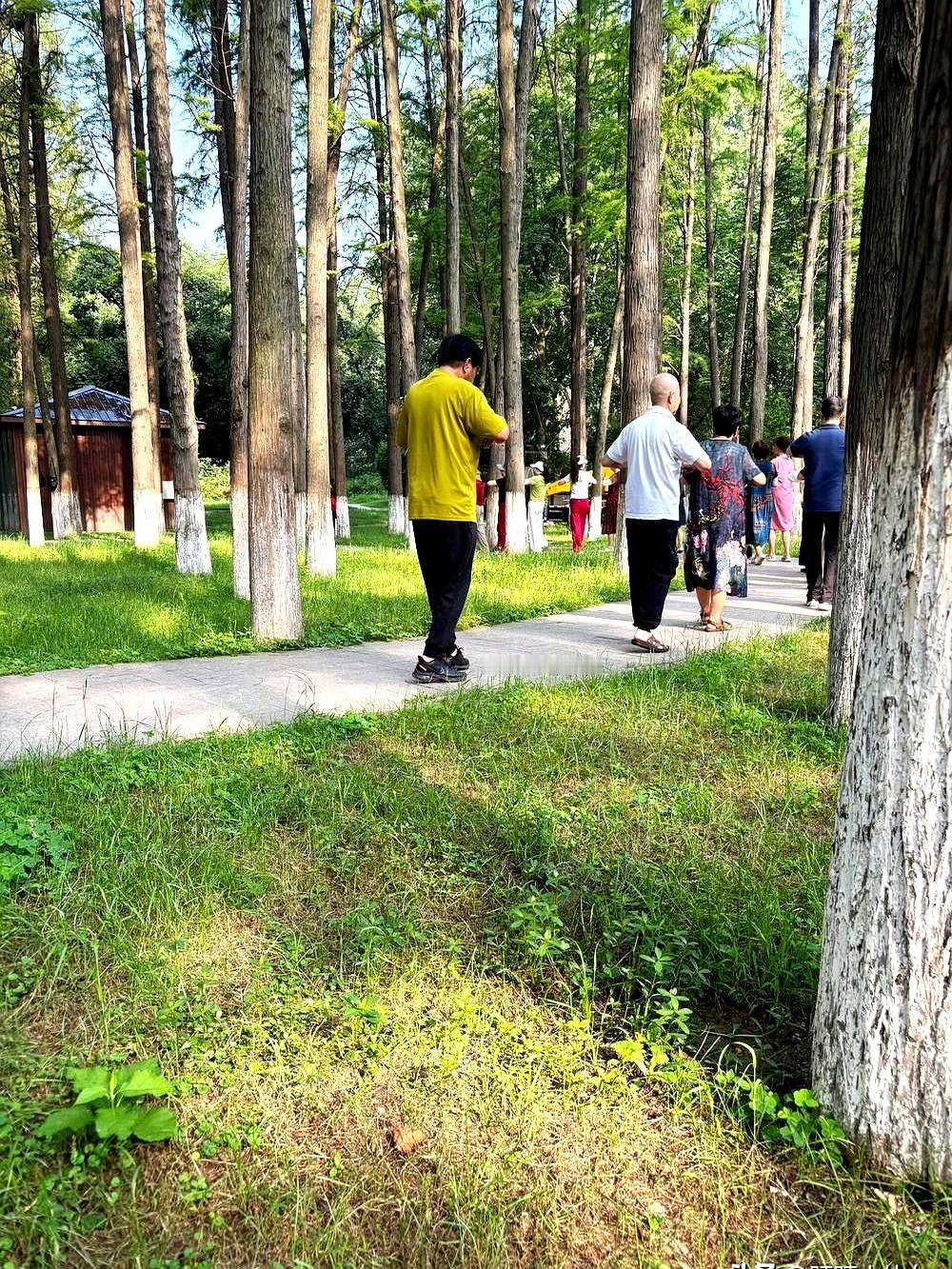 我公公这阵子真是像换了个人，69岁的人，嘴甜得我都有点不适应了。
以前我给他买点