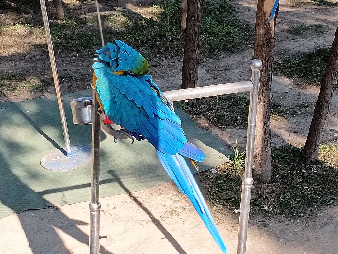 如果证券市场有排名，A股肯定排第一，理由如下：
第一、年均上市数量最多，融资金额