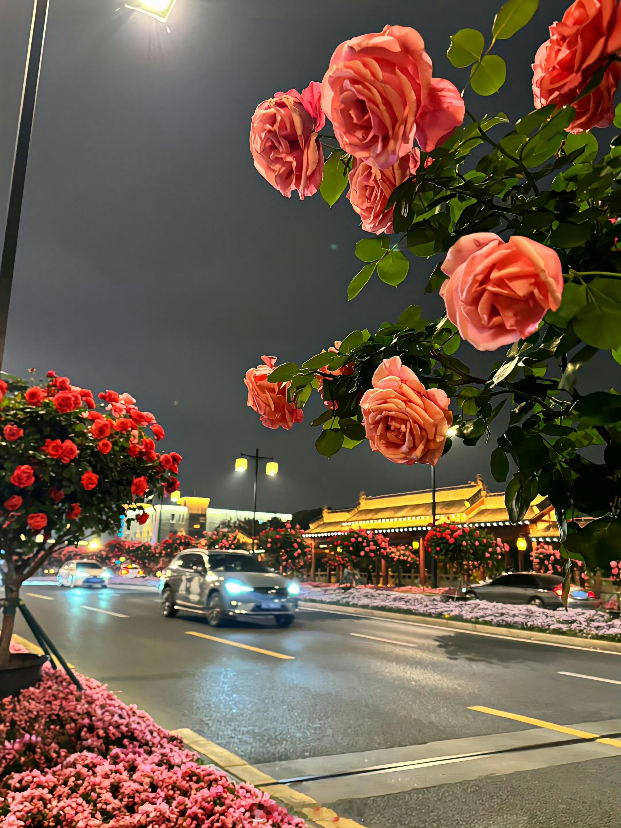 一路生花 ​​​