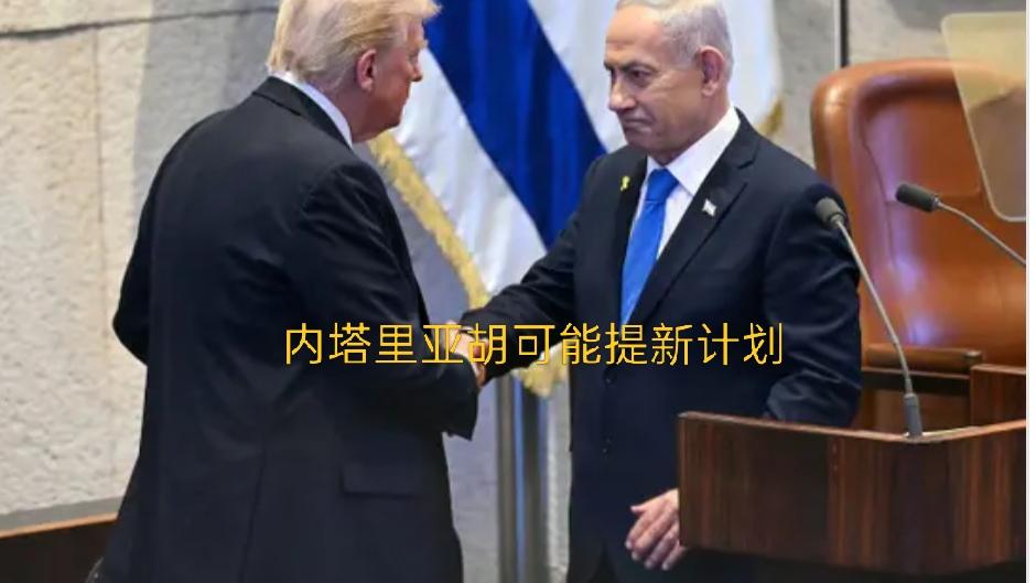 内塔尼亚胡可能会向特朗普提出一个新的加沙计划。它是什么？

以色列总理本杰明·内