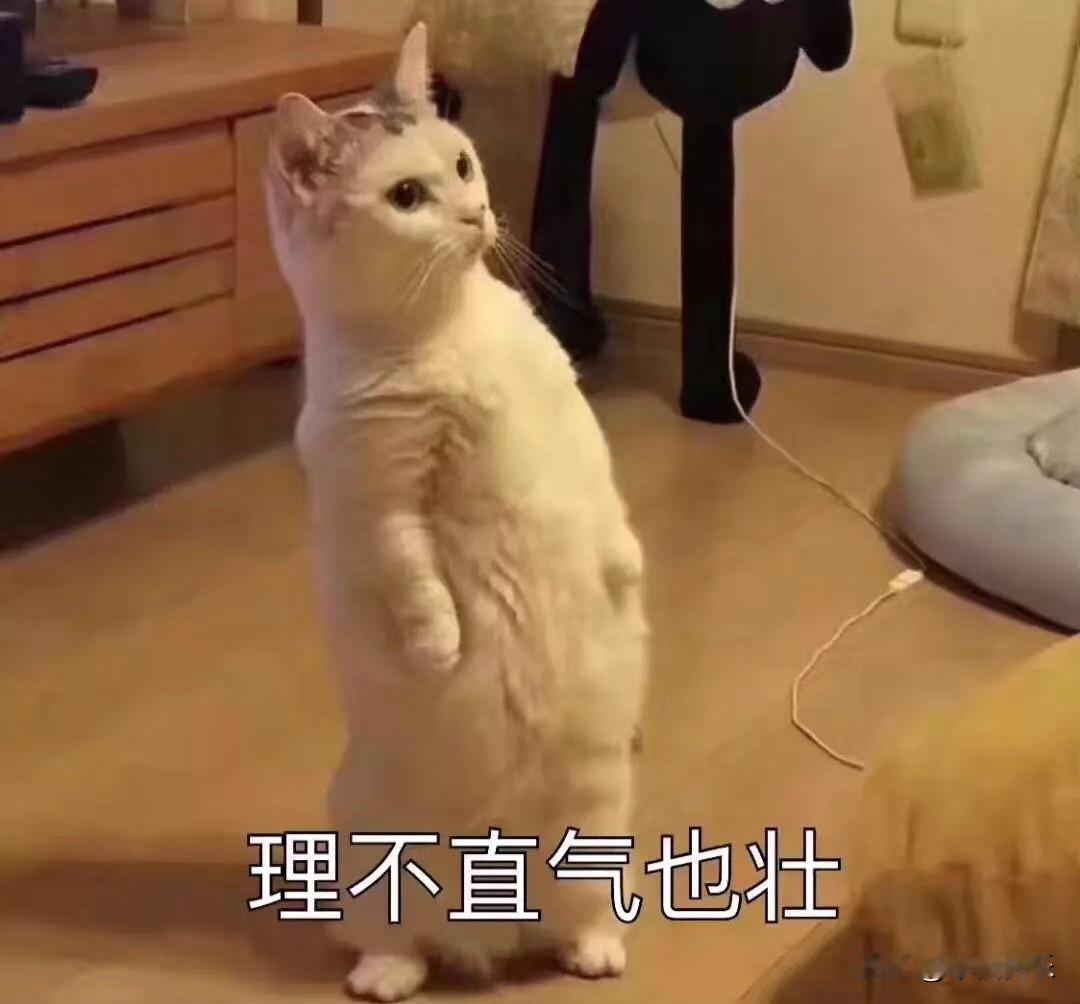 20260828
今天上午行情冲高回落，隔夜外盘是大涨的

润禾转债：发行规模3
