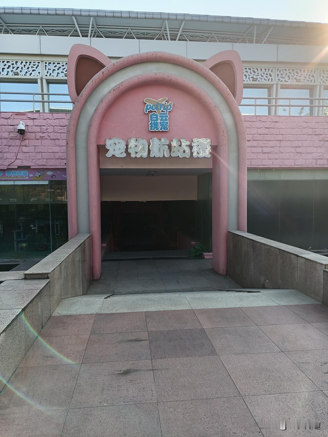 宠物托运真麻烦，下次打死不帮人带宠物了。