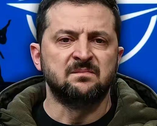 泽连斯基现在估计心里不好受，不是仗没打好，而是国家都快打没了。
 
其实这有实打