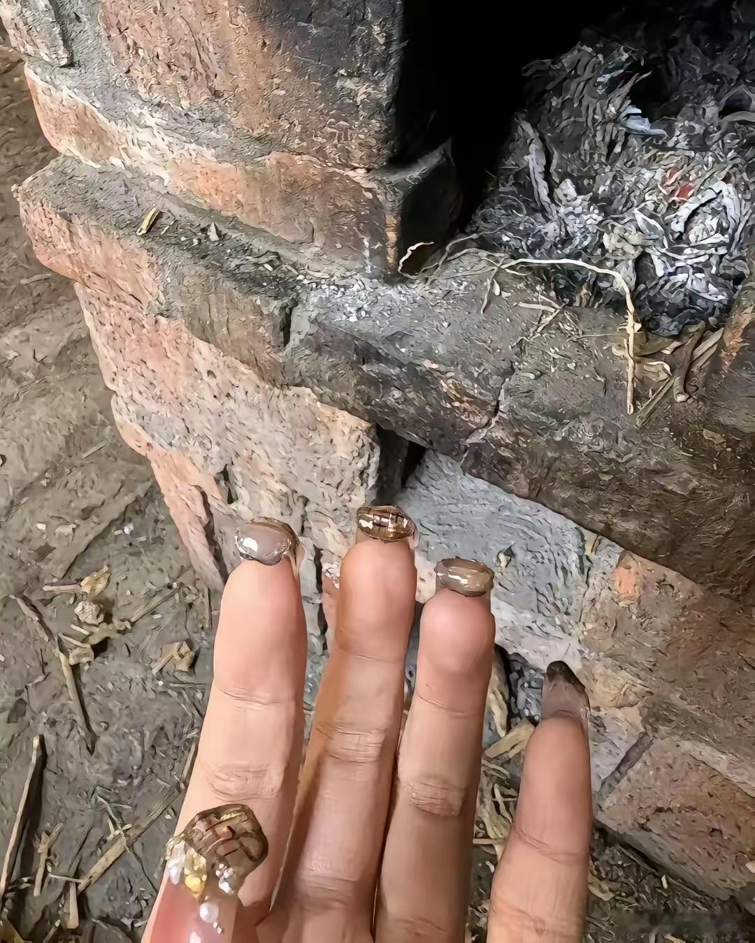第一批回村的人已经这样了[允悲] 