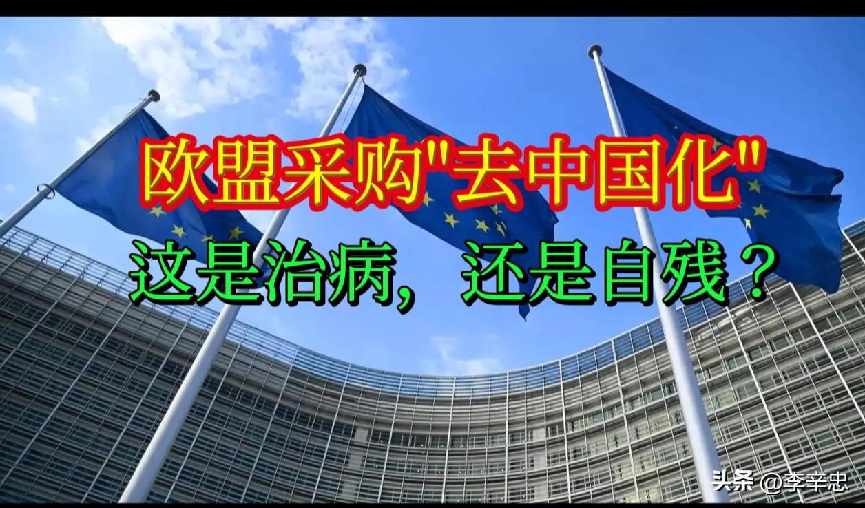 欧盟拿3万亿公共采购"去中国化"：这是治病，还是自残？

欧盟本周将正式公布《公