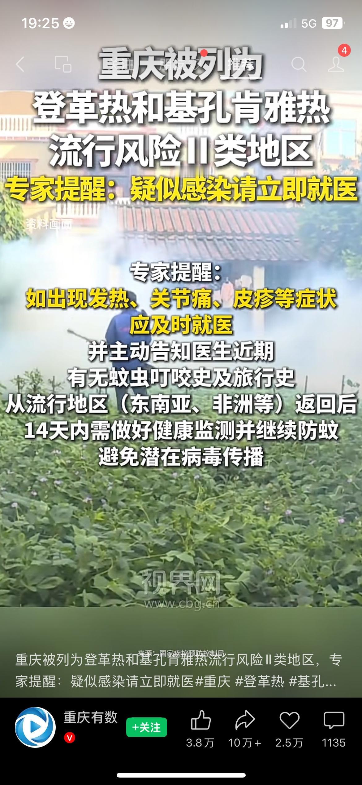 紧急预警！多地蚊媒病风险升级，重庆划入二类风险区
夏天蚊虫扎堆，防疫千万别大意！