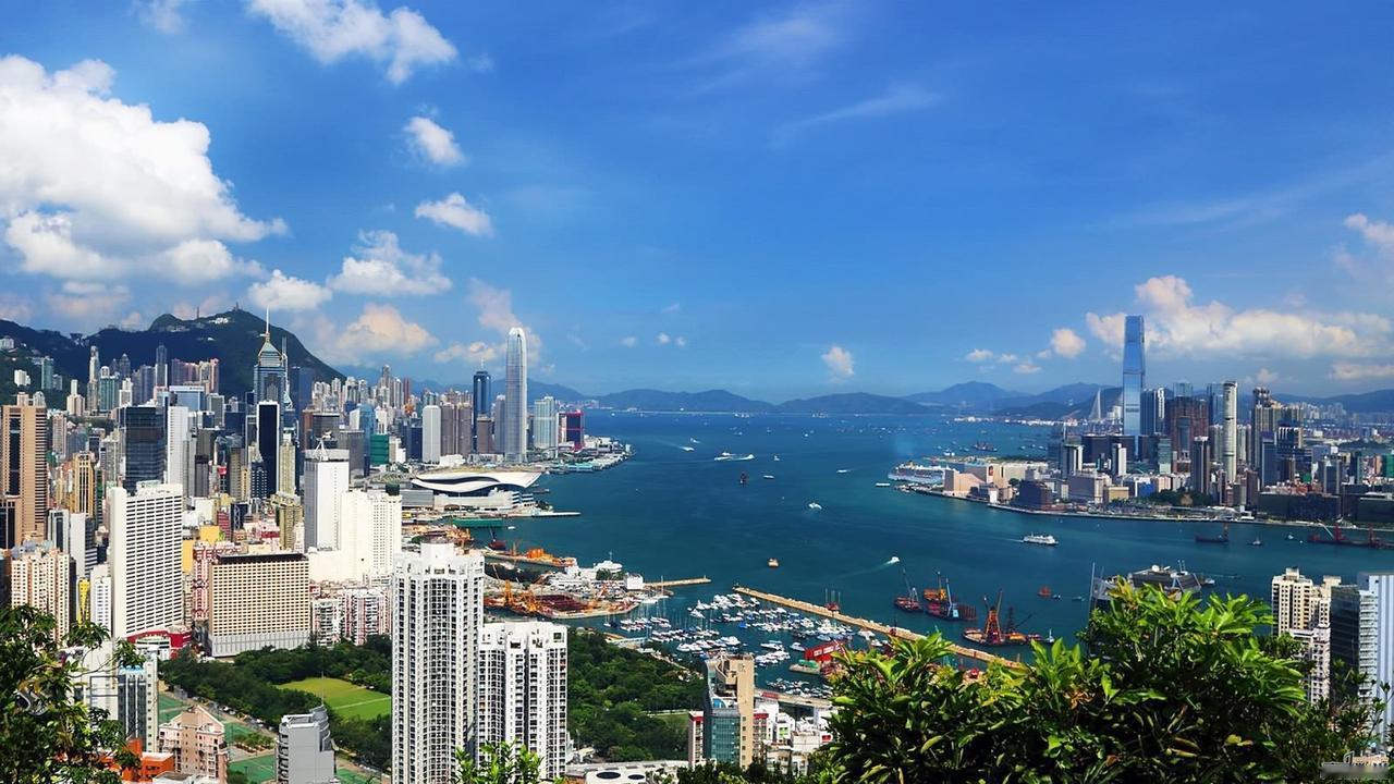 深圳将来是高等教育的高地。     
        深圳大学和南方科技大学是深