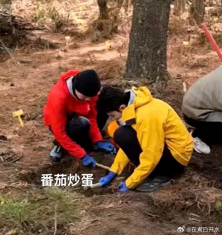 开播就是送新表情包！红绿灯也是凑齐了，果然十个勤天做强做大，涉及太广了十个勤天 