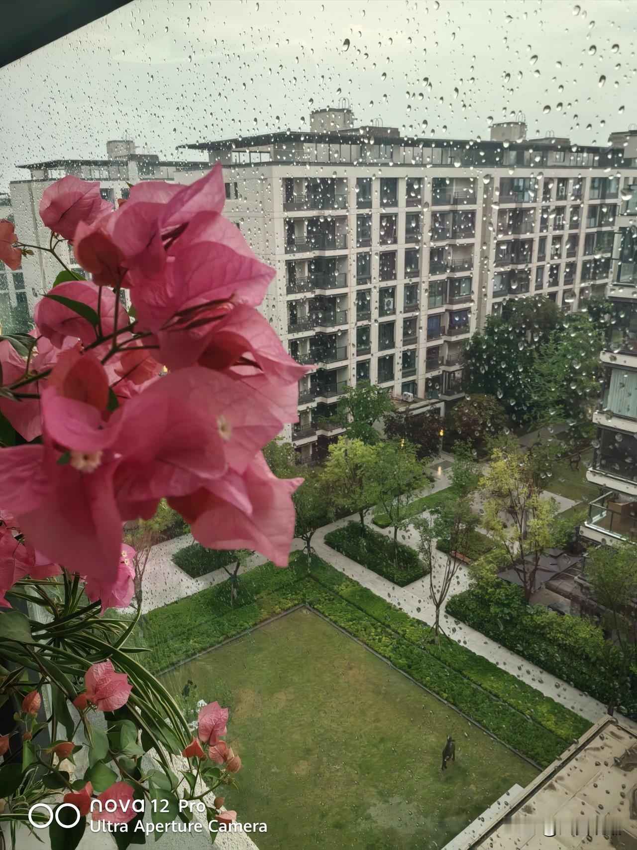 涪城、游仙发布暴雨橙色预警
 
7月29日19时25分，绵阳市气象台针对涪城、游