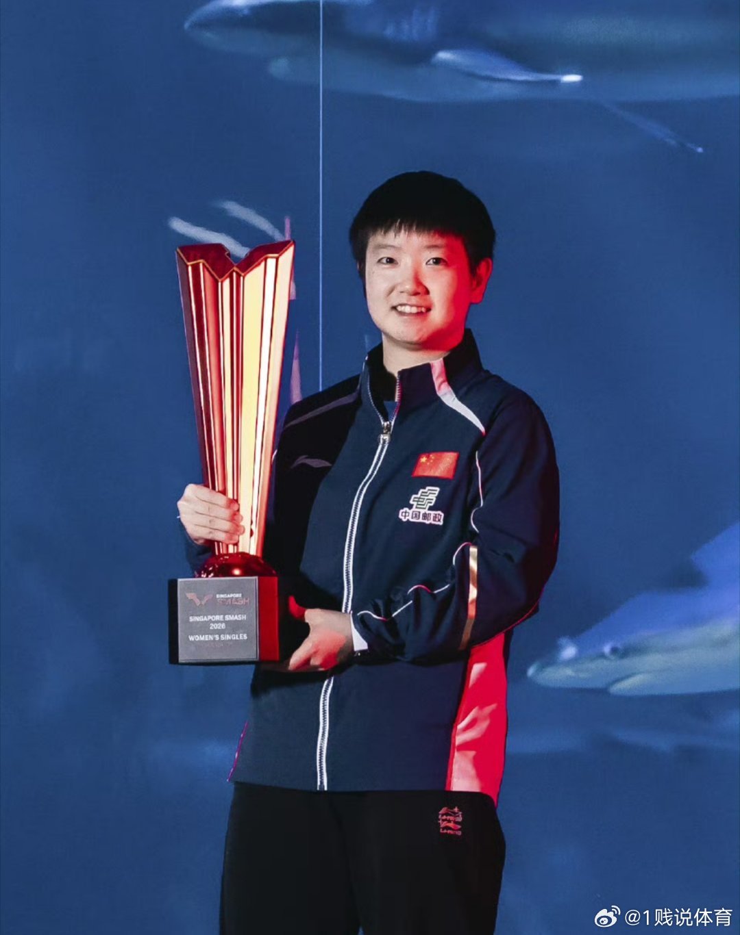 入奥后乒乓球三大赛单打成绩（ogg>wcg>世杯金>ogs>ogb>wcs>wc