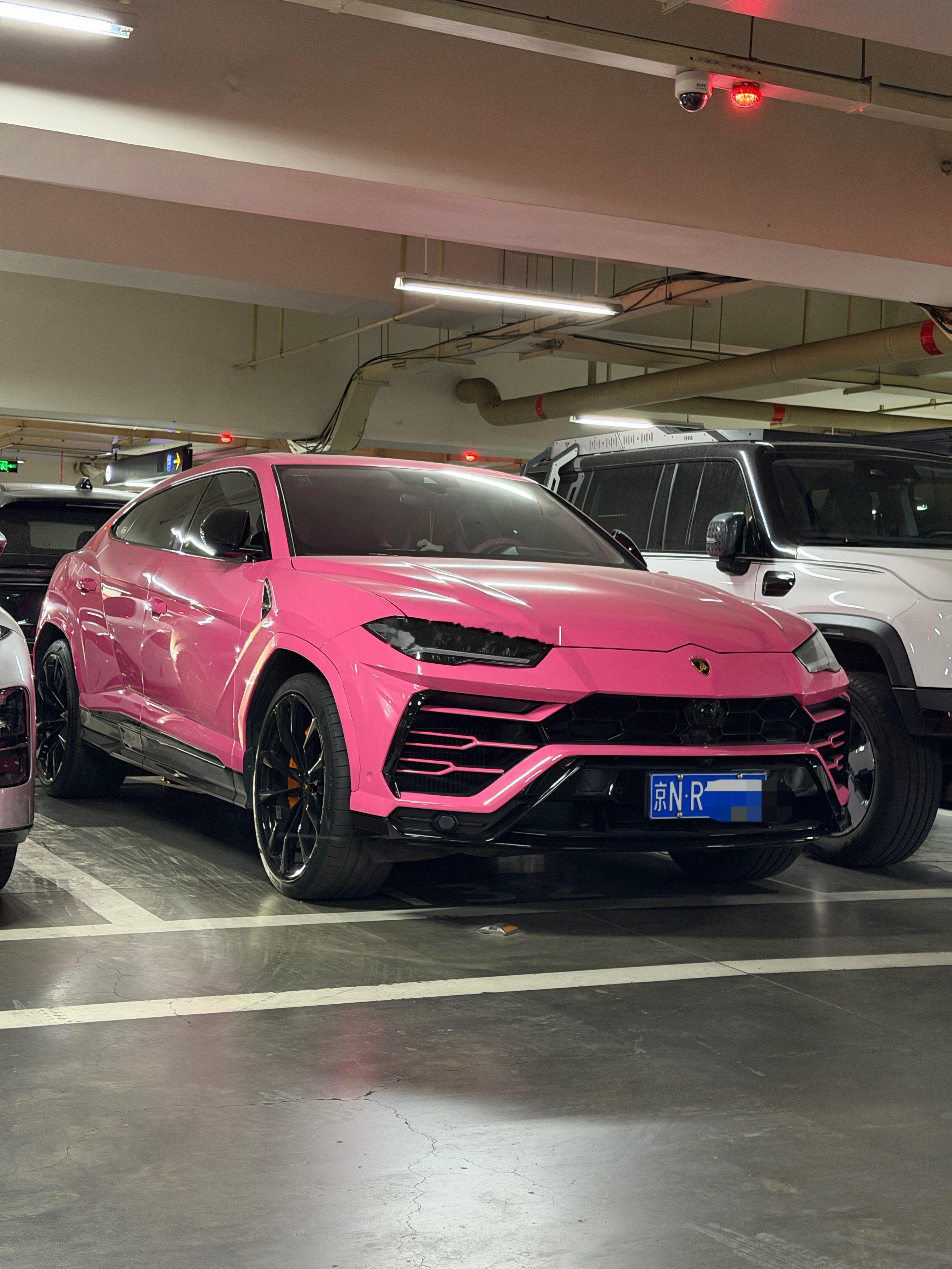 芭比牛🌸梦想家ALI 北京