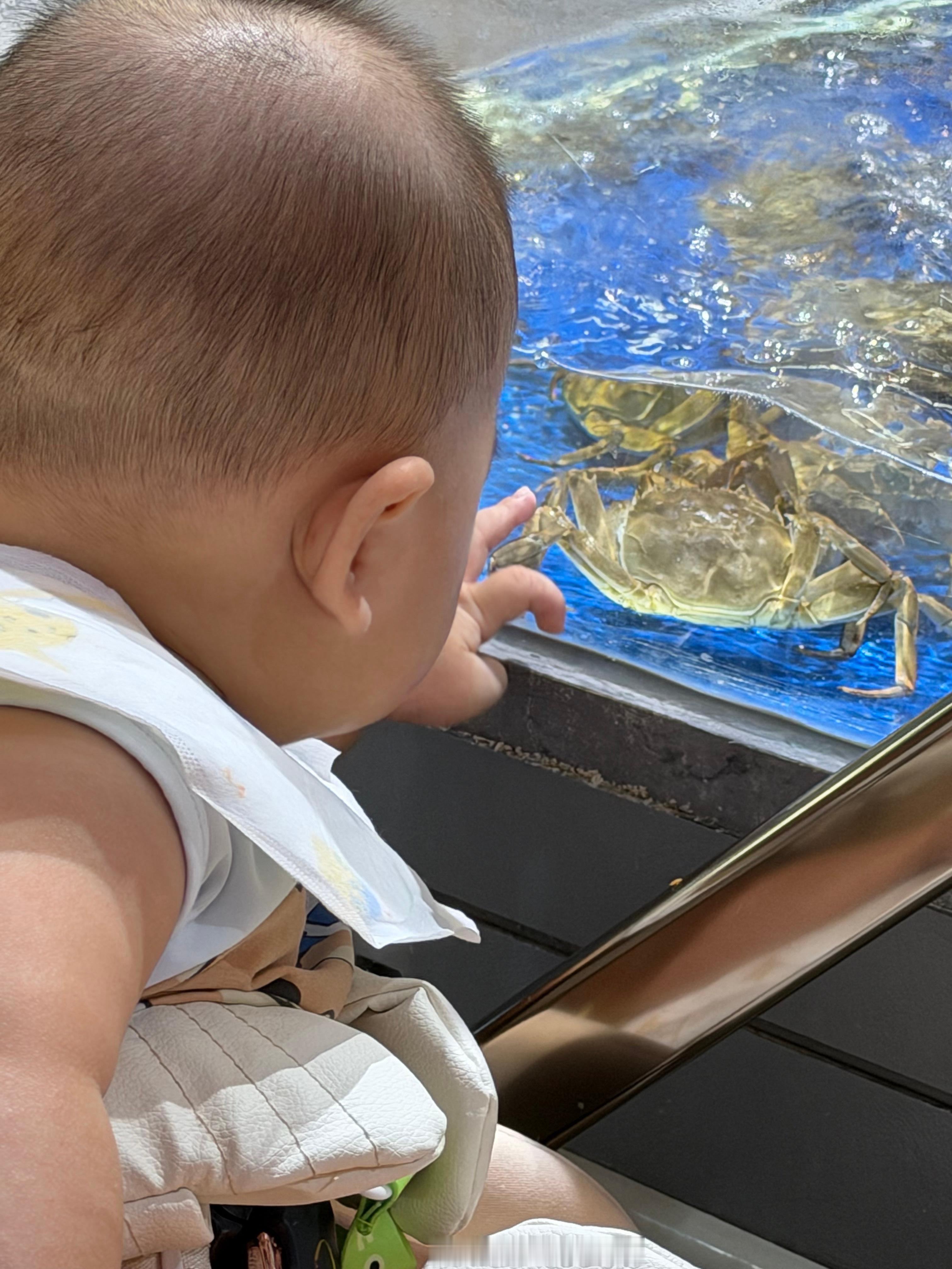 带小爆爆逛一个免费的海洋水族馆