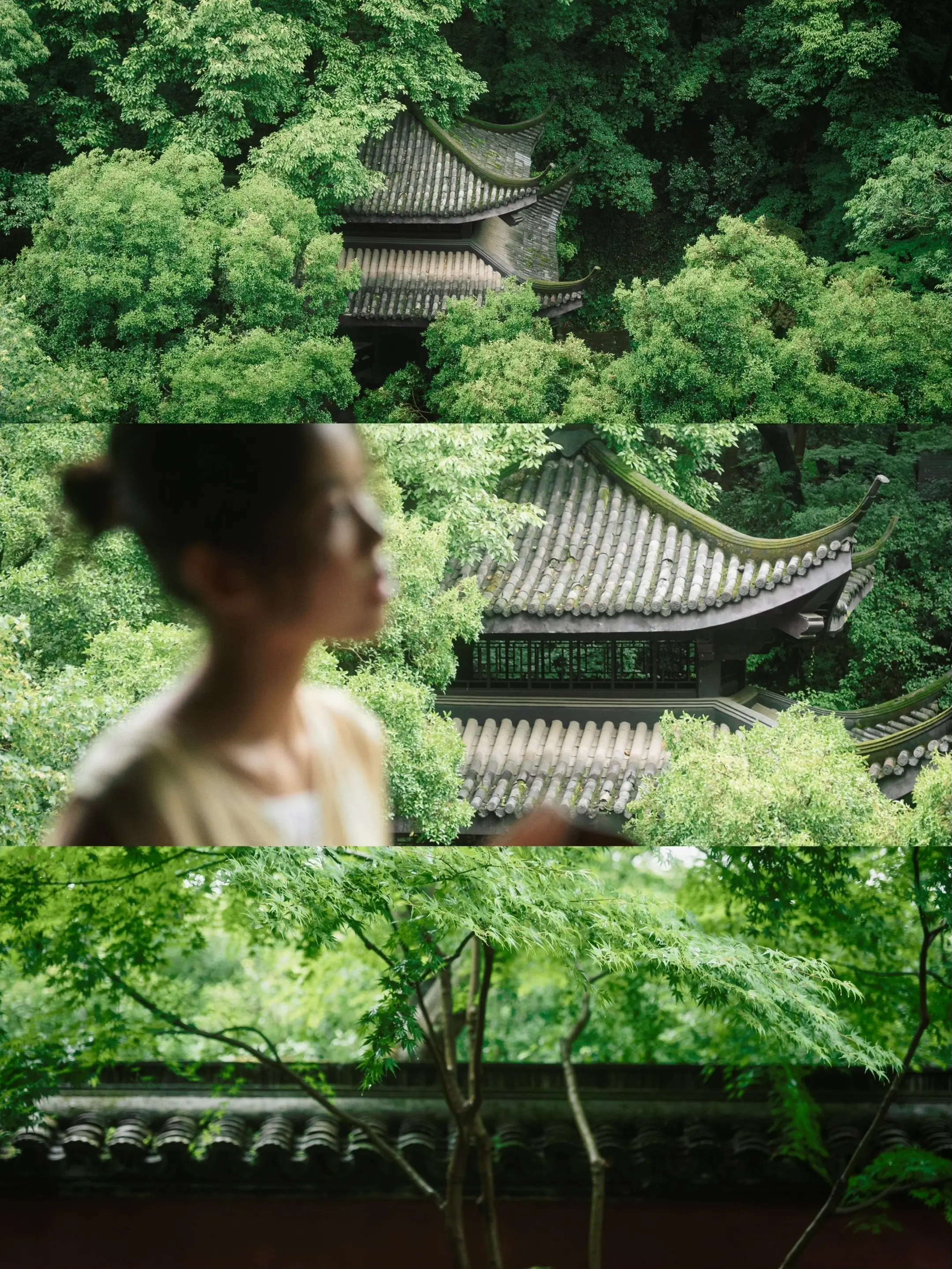 推窗见山河，绿意染衣襟，一草一木皆是东方美学