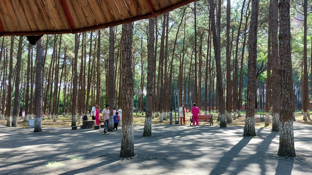 国庆和朋友们逛松林公园，占地面积非常大，也有许多人来逛公园，年轻人过来打篮球，羽
