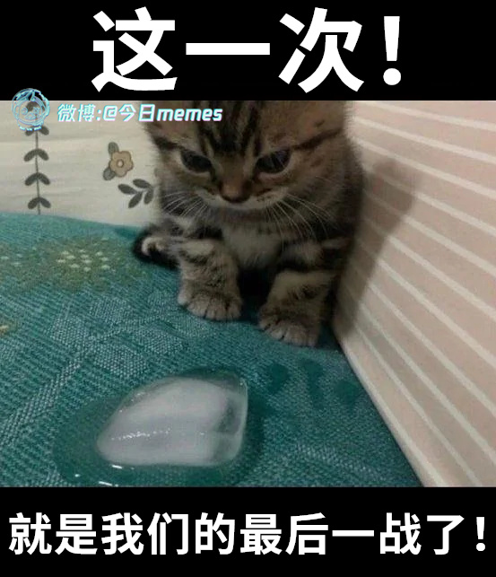 就在今天（9gag）哎呀